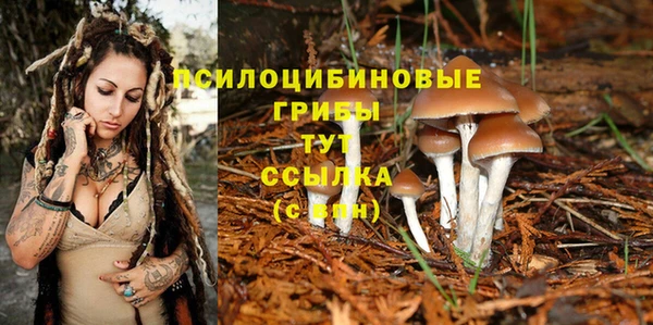 ешки Балахна