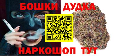 мдпв Будённовск