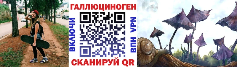 Галлюциногенные грибы Psilocybe  что такое   Горно-Алтайск 
