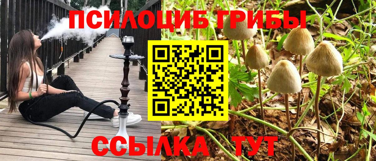 Псилоцибиновые грибы GOLDEN TEACHER Горно-Алтайск