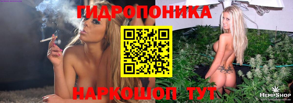 МАРИХУАНА план  МАРИХУАНА индика  Вход с VPN  Горно-Алтайск  Каннабис AK-47 